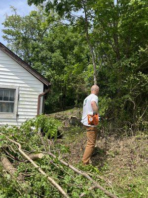 Tate's Tree Service