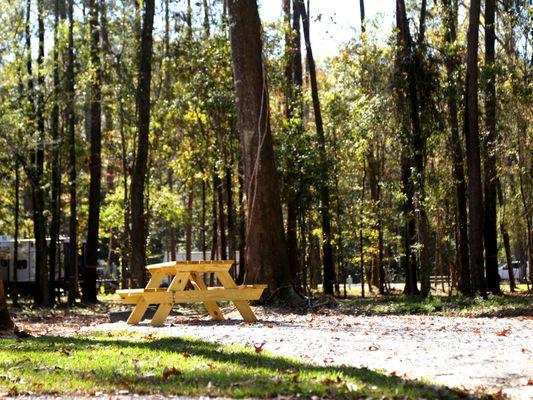 Each camp site contains a picnic table and fire pit.