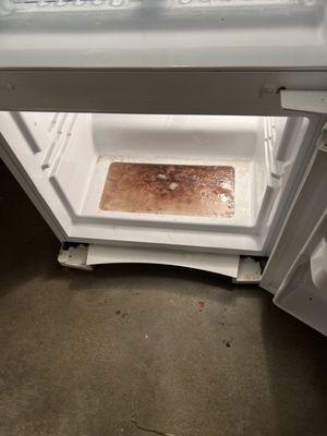 Dirty refrigerator