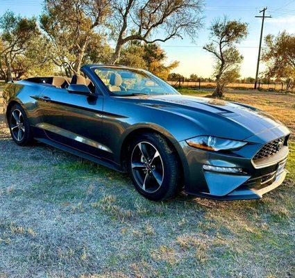 Convertible Mustang