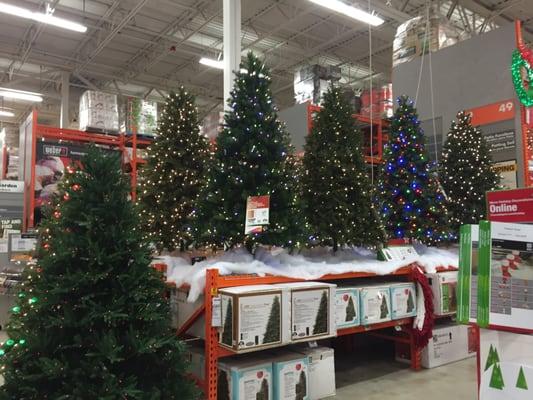 It's Christmas at Home Depot!! Hehe :)