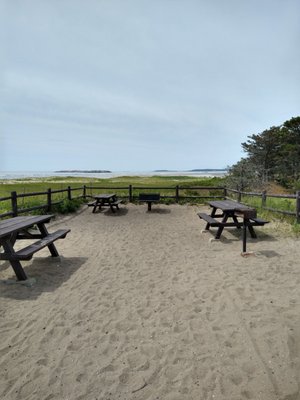 Beautiful enclosed picnic area - I ate a beer.