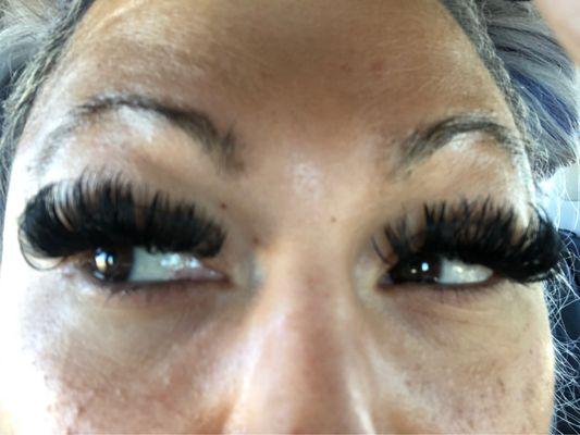 GlamRlash - Lashed by Kim