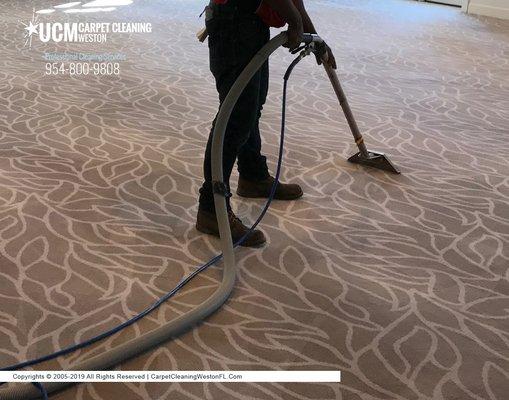 Carpet deep cleaning