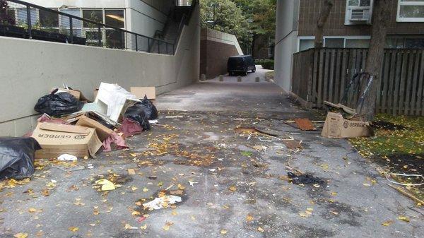 Debris everywhere, Roosevelt Landings courtyards are dumping grounds, BTW this mess is three yards from a playground