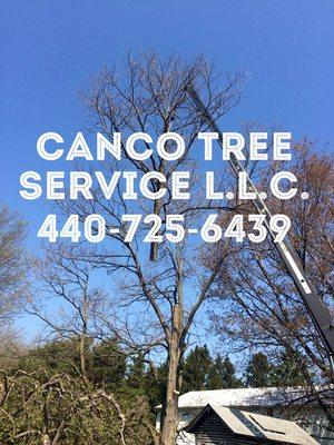 At Canco Tree Service we're committed to serving all of our customers needs.