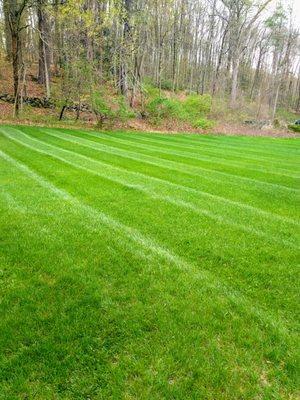 Bedford, NH lawn mowing business