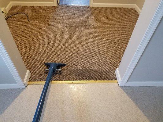 We clean dirty carpet!  Our chemicals are 100 % environmentally safe!