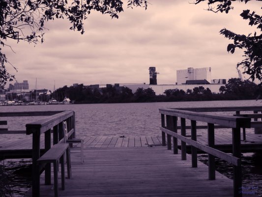 A partial view of Port Covington across the Patapsco River.