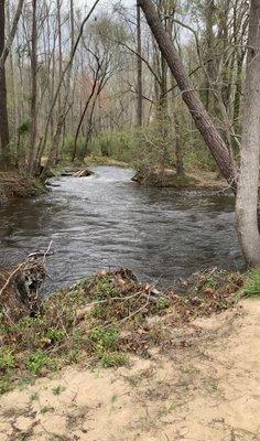 Hitchcock Creek Trail