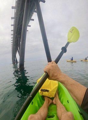 Kayak tour to Rincon Island!