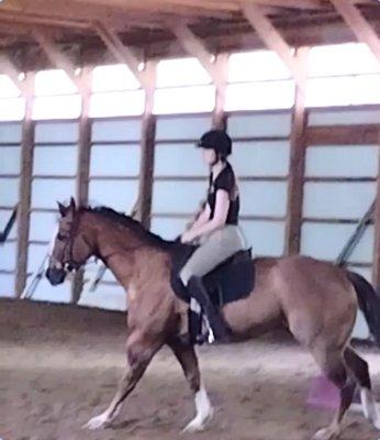 Trainer Hanna training owner Bonnie's horse to become a hunter pleasure horse.