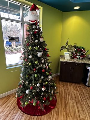 rock hill pediatric dentistry Christmas tree