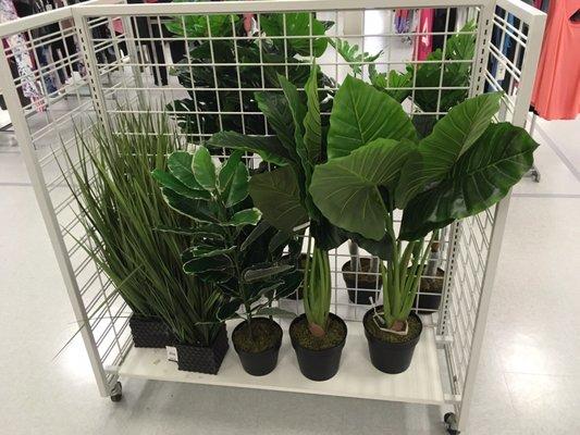 For those missing a green thumb, some quality artificial plants