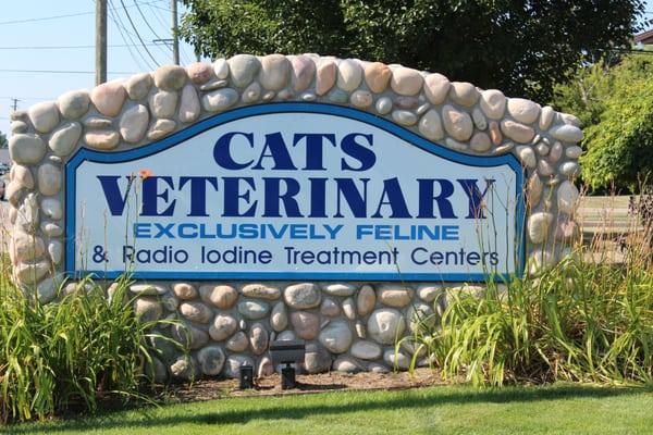 Cats Veterinary