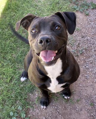 Bisbee Animal Shelter