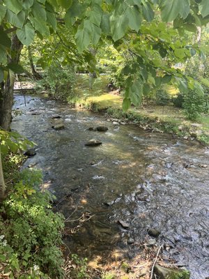 Creek out back