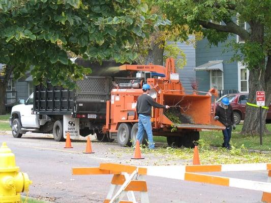 Hand-Shake Tree Service