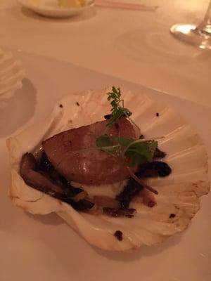 Scallop coquille st Jacques