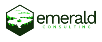 Emerald Consulting