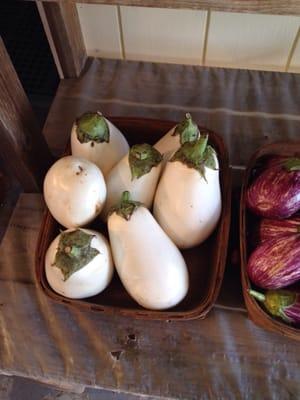 White Eggplant!!