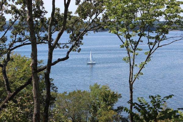 Eagle's Bluff resident caught this photo of sailing on Lake Palestine