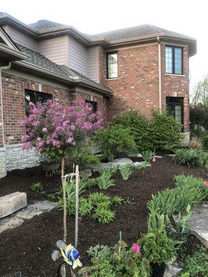 Their mulch is some of  the nicer mulch out there this is triple ground natural dark.