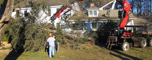 Crane Removal of Hazardous Trees