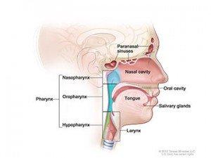 Head and Neck Surgeon; Oklahoma City; let Dr. Wayne help you breathe again!