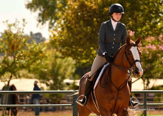 Sacramento International Horse Show 2017