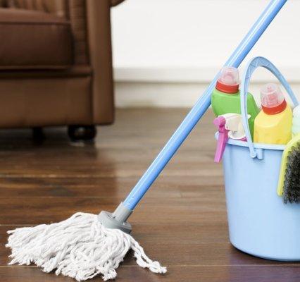 Professional Home Cleaning