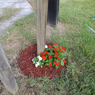 Small mailbox flower bed