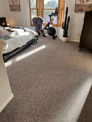 Bedroom Carpet Cleaned