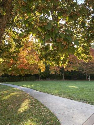 Lithia Park