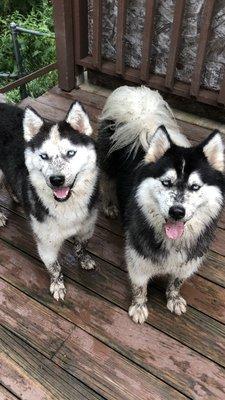 What? I wasn't digging holes in the yard?!?