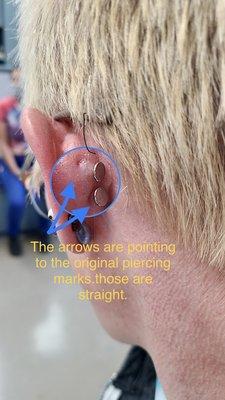 This is the magnified, marked up version pointing out the previous piercings and noting the placement of the new piercings.