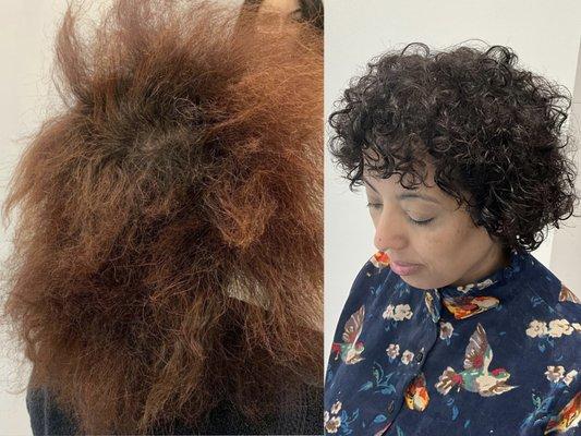 Curl Reconstruction using Collagen Treatment, Color and Cut