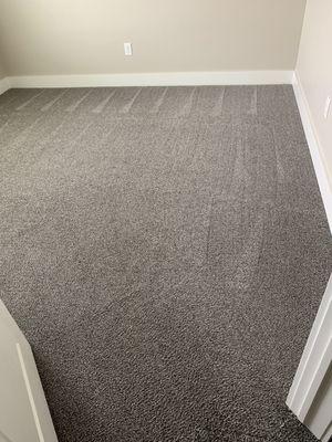 Clean carpets!