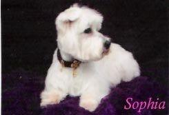 Miss Sophia Maria passed at age 19 and was a cancer survivor!