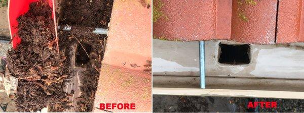 Gutter cleaning: We scoop up all the dirt and organic matter from the gutters before soft washing them.