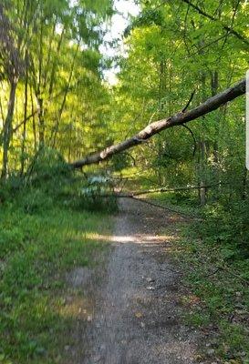 These obstacles couldn't stop me! This is that Lapeer style Polly Ann Trail!