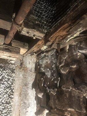 Rotted wood underneath a raised home.