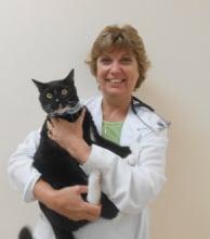 Dr. Montor, 1993 Graduate, University of Pennsylvania Veterinary School