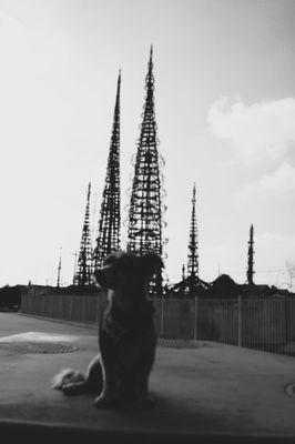 Black & White photo of Watts Towers