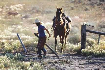 Bonanza Creek Country