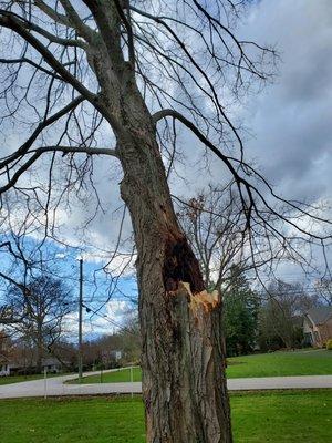 Wind strom damage