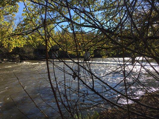 Sauk River Regional Park