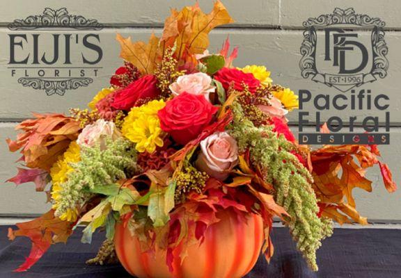 Pumpkin Power, Ceramic Pumpkin Container, Apricot Roses, Nina Orange Roses, Yellow Poms, Handing Amaranthus, Yellow-Brown Solidaster,