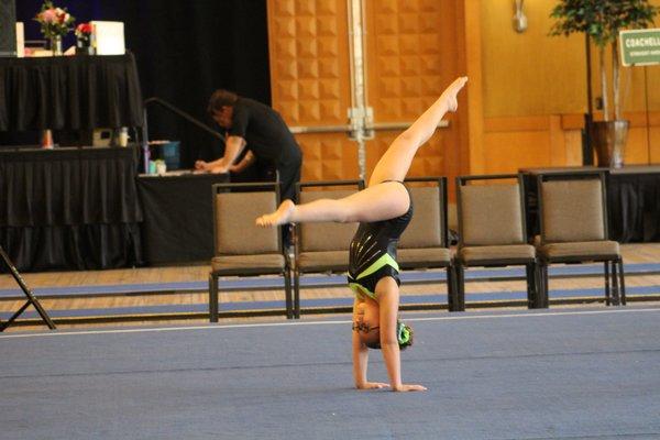 Bella's Back Walkover