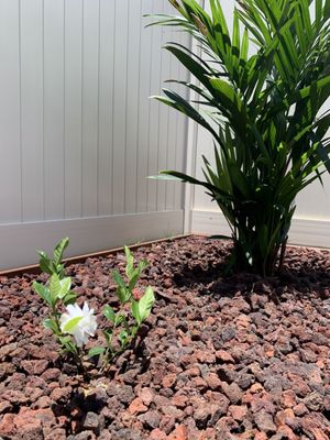 Takenaka Landscaping Co Inc